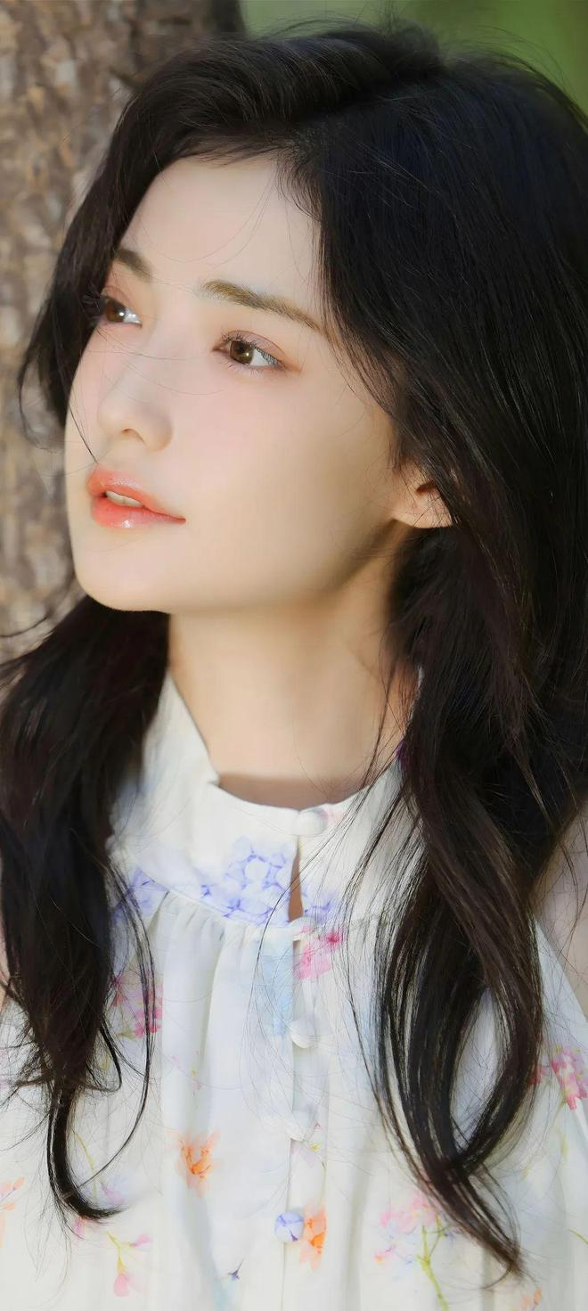 域名停靠盘功能特性展示图